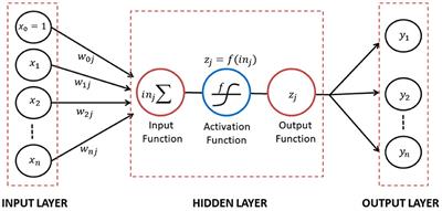 Hybridization of long short-term memory neural network in fractional time series modeling of inflation